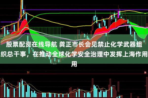 股票配资在线导航 龚正市长会见禁止化学武器组织总干事，在推动全球化学安全治理中发挥上海作用