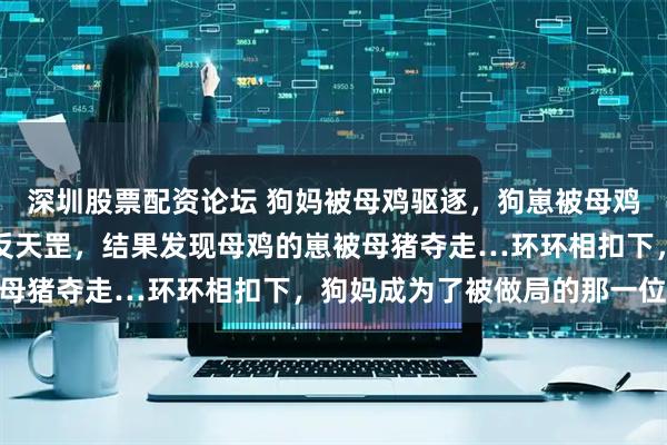 深圳股票配资论坛 狗妈被母鸡驱逐，狗崽被母鸡夺走养护，网友辣评倒反天罡，结果发现母鸡的崽被母猪夺走…环环相扣下，狗妈成为了被做局的那一位…
