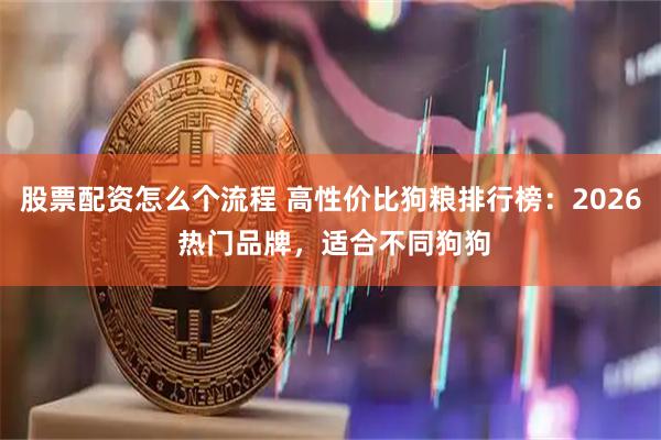 股票配资怎么个流程 高性价比狗粮排行榜:2026 热门品牌,适合不同狗狗